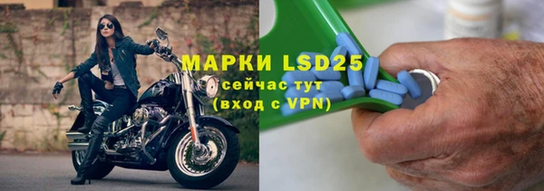 индика Беломорск