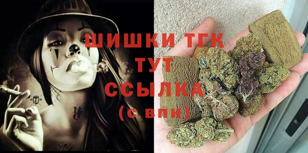 индика Беломорск
