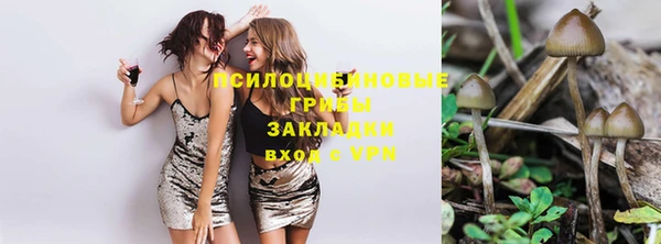 бутират Белокуриха
