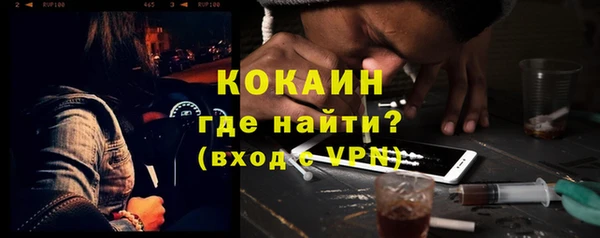 индика Беломорск