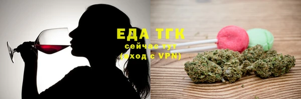 индика Беломорск
