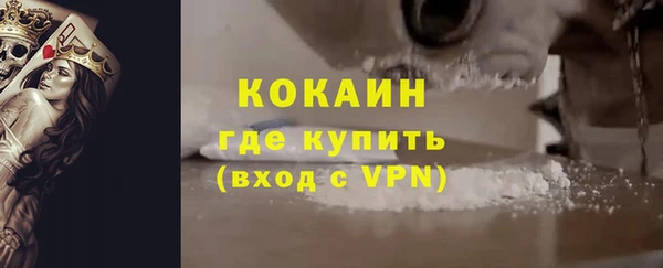 индика Беломорск