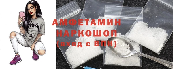 индика Беломорск