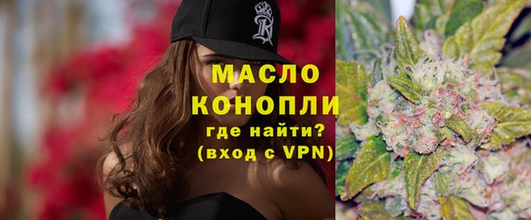 индика Беломорск