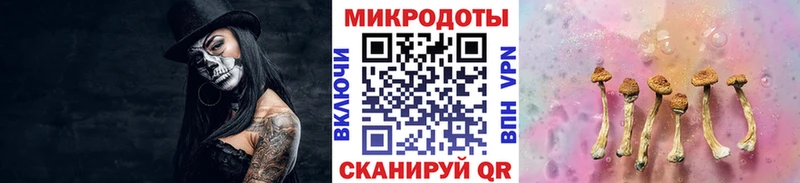 Галлюциногенные грибы мицелий  Пионерский 